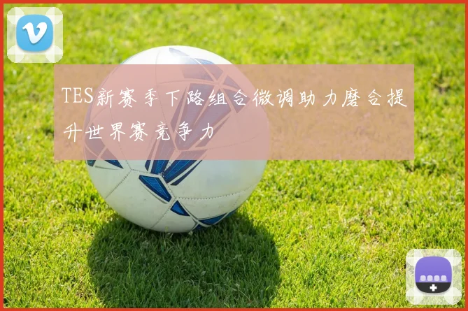 TES新赛季下路组合微调助力磨合提升世界赛竞争力