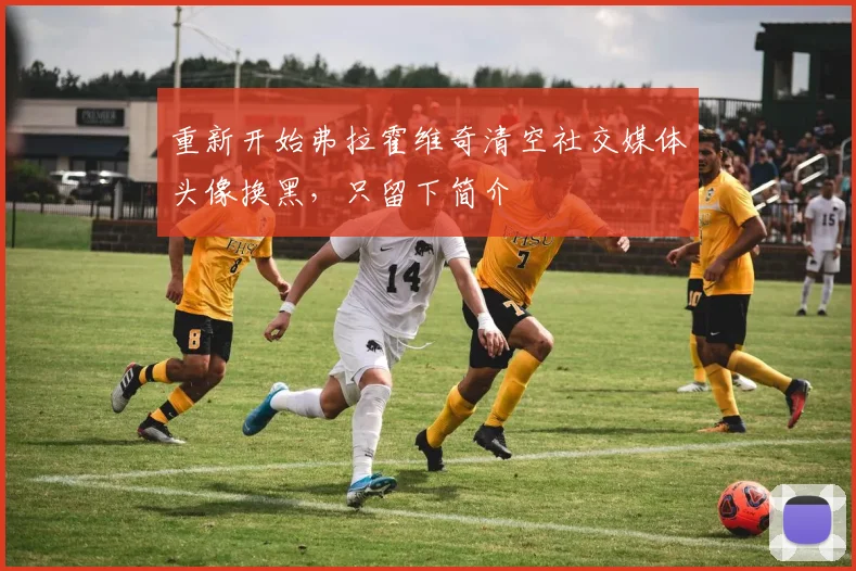 重新开始弗拉霍维奇清空社交媒体头像换黑，只留下简介